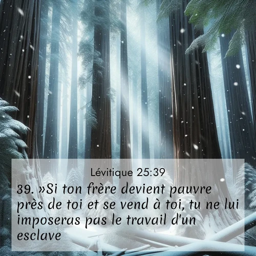 Segond21 Lévitique  ; image nature: image avec le verset biblique :»Si ton frère devient pauvre près de toi et se vend à toi, tu ne lui imposeras pas le travail d&#039;un esclave. ;  ; 25:39