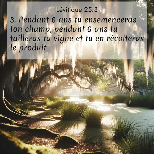 Segond21 Lévitique  ; image nature: image avec le verset biblique :Pendant 6 ans tu ensemenceras ton champ, pendant 6 ans tu tailleras ta vigne et tu en récolteras le produit. ;  ; 25:3