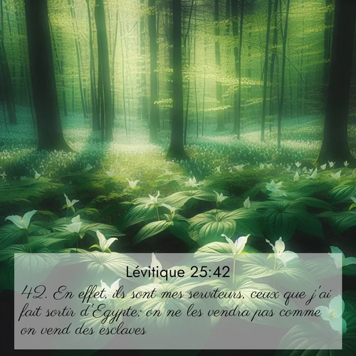 Segond21 Lévitique  ; image nature: image avec le verset biblique :En effet, ils sont mes serviteurs, ceux que j&#039;ai fait sortir d&#039;Egypte; on ne les vendra pas comme on vend des esclaves. ;  ; 25:42