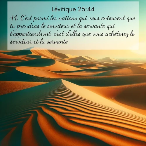Segond21 Lévitique  ; image nature: image avec le verset biblique :C&#039;est parmi les nations qui vous entourent que tu prendras le serviteur et la servante qui t&#039;appartiendront, c&#039;est d&#039;elles que vous achèterez le serviteur et la servante. ;  ; 25:44