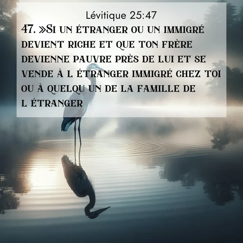 Segond21 Lévitique  ; image nature: image avec le verset biblique :»Si un étranger ou un immigré devient riche et que ton frère devienne pauvre près de lui et se vende à l&#039;étranger immigré chez toi ou à quelqu&#039;un de la famille de l&#039;étranger, ;  ; 25:47