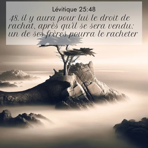 Segond21 Lévitique  ; image nature: image avec le verset biblique :il y aura pour lui le droit de rachat, après qu&#039;il se sera vendu: un de ses frères pourra le racheter. ;  ; 25:48