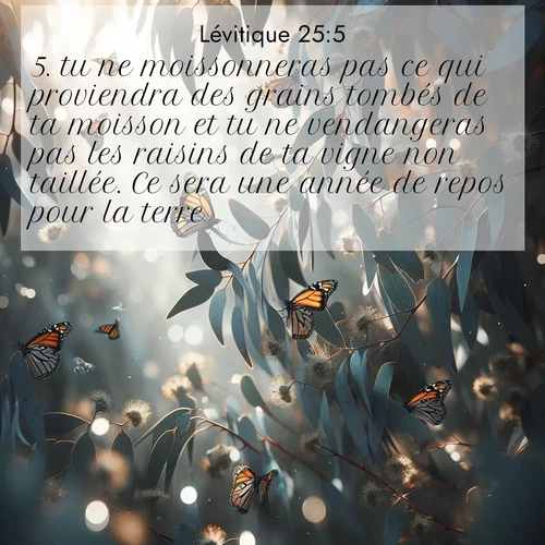 Segond21 Lévitique  ; image nature: image avec le verset biblique :tu ne moissonneras pas ce qui proviendra des grains tombés de ta moisson et tu ne vendangeras pas les raisins de ta vigne non taillée. Ce sera une année de repos pour la terre. ;  ; 25:5