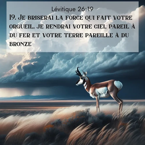 Segond21 Lévitique  ; image nature: image avec le verset biblique :Je briserai la force qui fait votre orgueil, je rendrai votre ciel pareil à du fer et votre terre pareille à du bronze. ;  ; 26:19