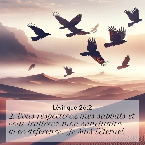 Segond21 Lévitique  ; image nature: image avec le verset biblique :Vous respecterez mes sabbats et vous traiterez mon sanctuaire avec déférence. Je suis l&#039;Eternel. ;  ; 26:2