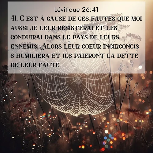 Segond21 Lévitique  ; image nature: image avec le verset biblique :C&#039;est à cause de ces fautes que moi aussi je leur résisterai et les conduirai dans le pays de leurs ennemis. Alors leur coeur incirconcis s&#039;humiliera et ils paieront la dette de leur faute. ;  ; 26:41