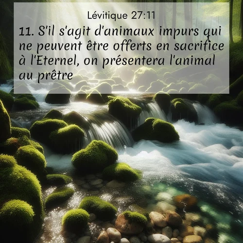 Segond21 Lévitique  ; image nature: image avec le verset biblique :S&#039;il s&#039;agit d&#039;animaux impurs qui ne peuvent être offerts en sacrifice à l&#039;Eternel, on présentera l&#039;animal au prêtre, ;  ; 27:11