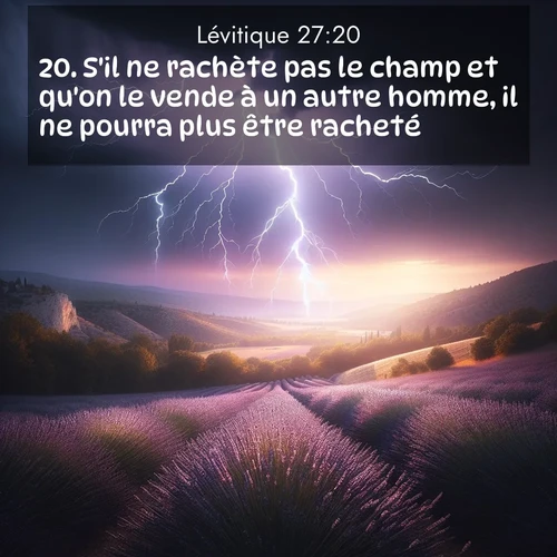 Segond21 Lévitique  ; image nature: image avec le verset biblique :S&#039;il ne rachète pas le champ et qu&#039;on le vende à un autre homme, il ne pourra plus être racheté. ;  ; 27:20
