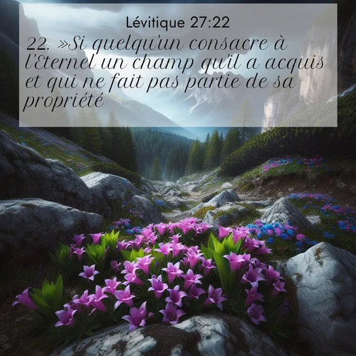 Segond21 Lévitique  ; image nature: image avec le verset biblique :»Si quelqu&#039;un consacre à l&#039;Eternel un champ qu&#039;il a acquis et qui ne fait pas partie de sa propriété, ;  ; 27:22
