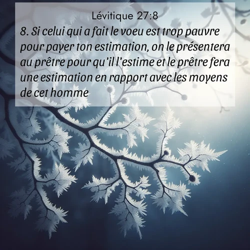 Segond21 Lévitique  ; image nature: image avec le verset biblique :Si celui qui a fait le voeu est trop pauvre pour payer ton estimation, on le présentera au prêtre pour qu&#039;il l&#039;estime et le prêtre fera une estimation en rapport avec les moyens de cet homme. ;  ; 27:8