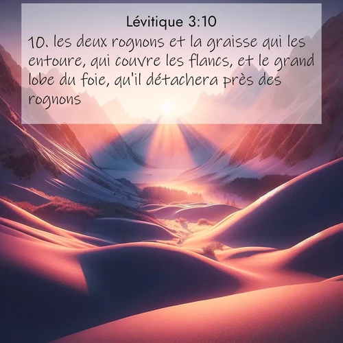 Segond21 Lévitique  ; image nature: image avec le verset biblique :les deux rognons et la graisse qui les entoure, qui couvre les flancs, et le grand lobe du foie, qu&#039;il détachera près des rognons. ;  ; 3:10