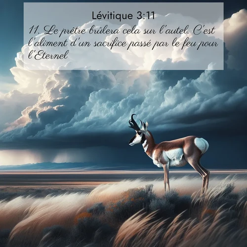 Segond21 Lévitique  ; image nature: image avec le verset biblique :Le prêtre brûlera cela sur l&#039;autel. C&#039;est l&#039;aliment d&#039;un sacrifice passé par le feu pour l&#039;Eternel. ;  ; 3:11