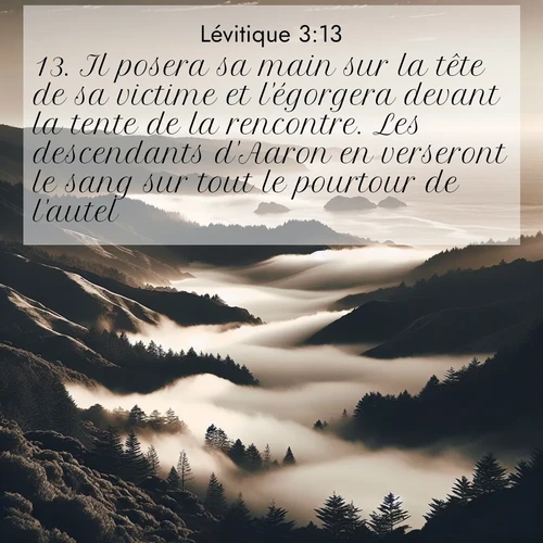 Segond21 Lévitique  ; image nature: image avec le verset biblique :Il posera sa main sur la tête de sa victime et l&#039;égorgera devant la tente de la rencontre. Les descendants d&#039;Aaron en verseront le sang sur tout le pourtour de l&#039;autel. ;  ; 3:13
