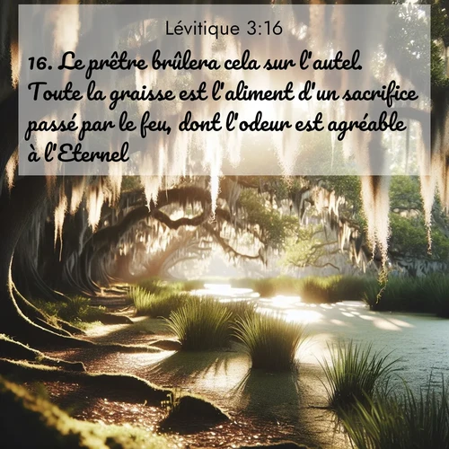 Segond21 Lévitique  ; image nature: image avec le verset biblique :Le prêtre brûlera cela sur l&#039;autel. Toute la graisse est l&#039;aliment d&#039;un sacrifice passé par le feu, dont l&#039;odeur est agréable à l&#039;Eternel. ;  ; 3:16