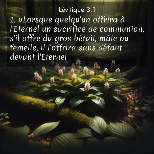 Segond21 Lévitique  ; image nature: image avec le verset biblique :»Lorsque quelqu&#039;un offrira à l&#039;Eternel un sacrifice de communion, s&#039;il offre du gros bétail, mâle ou femelle, il l&#039;offrira sans défaut devant l&#039;Eternel. ;  ; 3:1