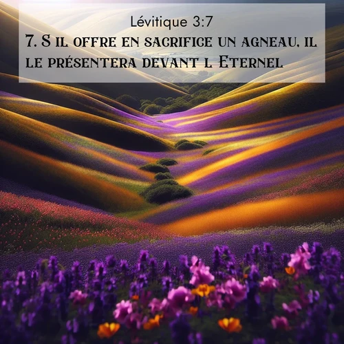 Segond21 Lévitique  ; image nature: image avec le verset biblique :S&#039;il offre en sacrifice un agneau, il le présentera devant l&#039;Eternel. ;  ; 3:7