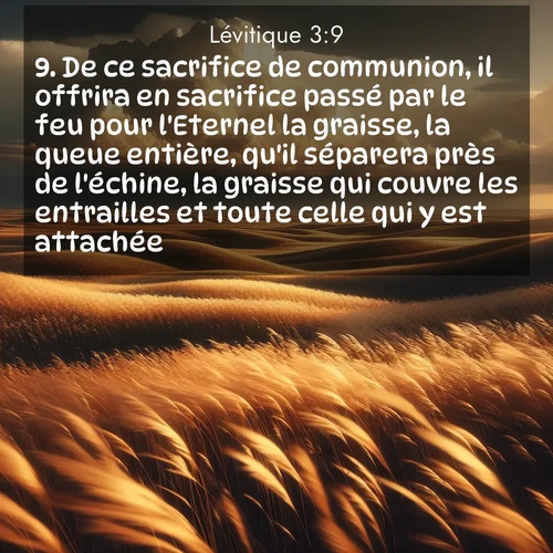 Segond21 Lévitique  ; image nature: image avec le verset biblique :De ce sacrifice de communion, il offrira en sacrifice passé par le feu pour l&#039;Eternel la graisse, la queue entière, qu&#039;il séparera près de l&#039;échine, la graisse qui couvre les entrailles et toute celle qui y est attachée, ;  ; 3:9