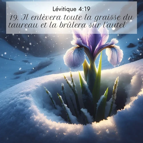 Segond21 Lévitique  ; image nature: image avec le verset biblique :Il enlèvera toute la graisse du taureau et la brûlera sur l&#039;autel. ;  ; 4:19