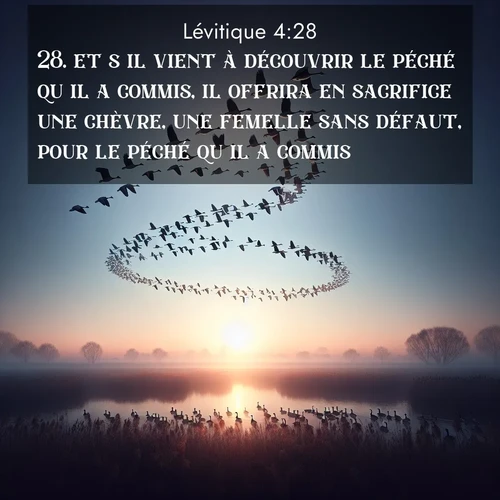 Segond21 Lévitique  ; image nature: image avec le verset biblique :et s&#039;il vient à découvrir le péché qu&#039;il a commis, il offrira en sacrifice une chèvre, une femelle sans défaut, pour le péché qu&#039;il a commis. ;  ; 4:28