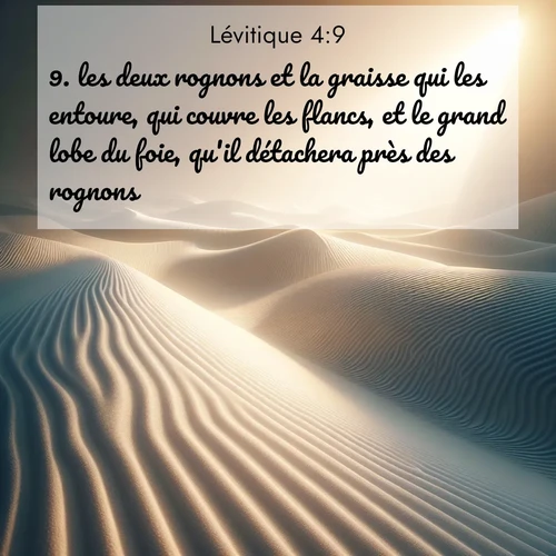 Segond21 Lévitique  ; image nature: image avec le verset biblique :les deux rognons et la graisse qui les entoure, qui couvre les flancs, et le grand lobe du foie, qu&#039;il détachera près des rognons. ;  ; 4:9