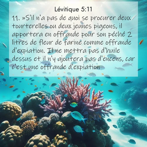 Segond21 Lévitique  ; image nature: image avec le verset biblique :»S&#039;il n&#039;a pas de quoi se procurer deux tourterelles ou deux jeunes pigeons, il apportera en offrande pour son péché 2 litres de fleur de farine comme offrande d&#039;expiation. Il ne mettra pas d&#039;huile dessus et il n&#039;y ajoutera pas d&#039;encens, car c&#039;est une offrande d&#039;expiation. ;  ; 5:11