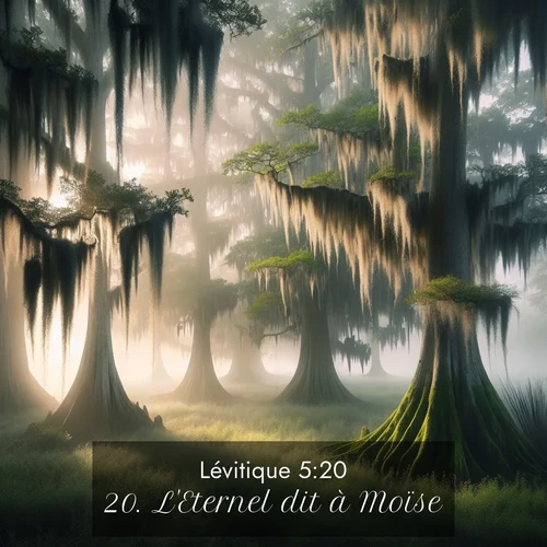 Segond21 Lévitique  ; image nature: image avec le verset biblique :L&#039;Eternel dit à Moïse: ;  ; 5:20