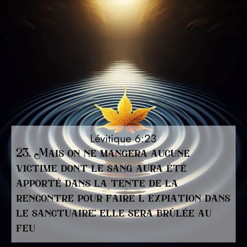Segond21 Lévitique  ; image nature: image avec le verset biblique :Mais on ne mangera aucune victime dont le sang aura été apporté dans la tente de la rencontre pour faire l&#039;expiation dans le sanctuaire: elle sera brûlée au feu. ;  ; 6:23