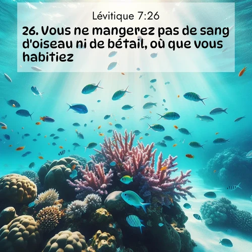 Segond21 Lévitique  ; image nature: image avec le verset biblique :Vous ne mangerez pas de sang d&#039;oiseau ni de bétail, où que vous habitiez. ;  ; 7:26