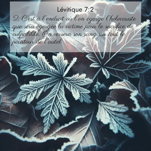 Segond21 Lévitique  ; image nature: image avec le verset biblique :C&#039;est à l&#039;endroit où l&#039;on égorge l&#039;holocauste que sera égorgée la victime pour le sacrifice de culpabilité. On versera son sang sur tout le pourtour de l&#039;autel. ;  ; 7:2