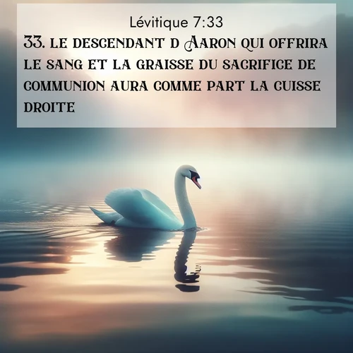 Segond21 Lévitique  ; image nature: image avec le verset biblique :le descendant d&#039;Aaron qui offrira le sang et la graisse du sacrifice de communion aura comme part la cuisse droite. ;  ; 7:33