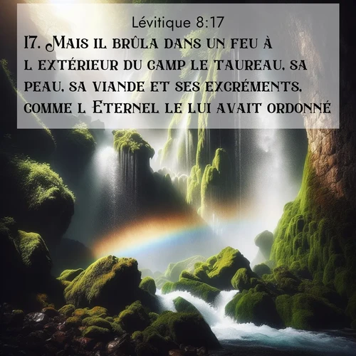 Segond21 Lévitique  ; image nature: image avec le verset biblique :Mais il brûla dans un feu à l&#039;extérieur du camp le taureau, sa peau, sa viande et ses excréments, comme l&#039;Eternel le lui avait ordonné. ;  ; 8:17