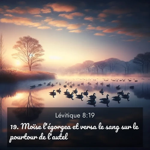 Segond21 Lévitique  ; image nature: image avec le verset biblique :Moïse l&#039;égorgea et versa le sang sur le pourtour de l&#039;autel. ;  ; 8:19