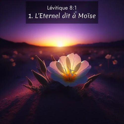 Segond21 Lévitique  ; image nature: image avec le verset biblique :L&#039;Eternel dit à Moïse: ;  ; 8:1