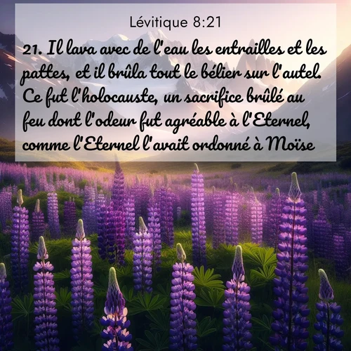 Segond21 Lévitique  ; image nature: image avec le verset biblique :Il lava avec de l&#039;eau les entrailles et les pattes, et il brûla tout le bélier sur l&#039;autel. Ce fut l&#039;holocauste, un sacrifice brûlé au feu dont l&#039;odeur fut agréable à l&#039;Eternel, comme l&#039;Eternel l&#039;avait ordonné à Moïse. ;  ; 8:21