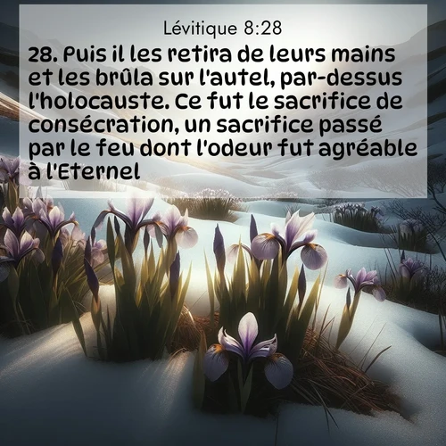 Segond21 Lévitique  ; image nature: image avec le verset biblique :Puis il les retira de leurs mains et les brûla sur l&#039;autel, par-dessus l&#039;holocauste. Ce fut le sacrifice de consécration, un sacrifice passé par le feu dont l&#039;odeur fut agréable à l&#039;Eternel. ;  ; 8:28