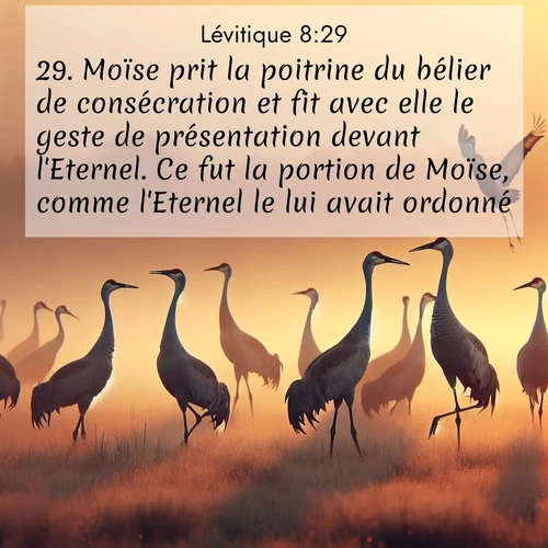 Segond21 Lévitique  ; image nature: image avec le verset biblique :Moïse prit la poitrine du bélier de consécration et fit avec elle le geste de présentation devant l&#039;Eternel. Ce fut la portion de Moïse, comme l&#039;Eternel le lui avait ordonné. ;  ; 8:29