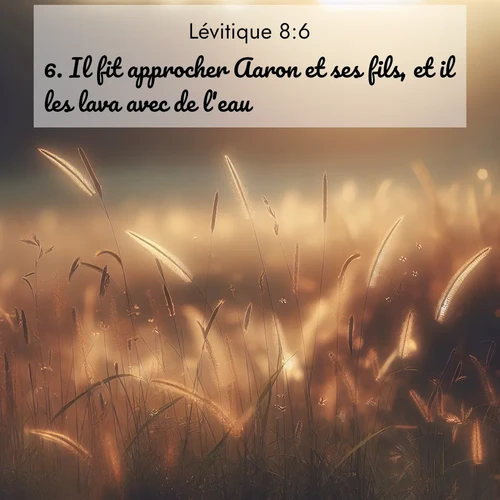 Segond21 Lévitique  ; image nature: image avec le verset biblique :Il fit approcher Aaron et ses fils, et il les lava avec de l&#039;eau. ;  ; 8:6