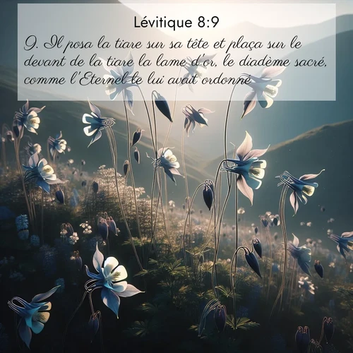 Segond21 Lévitique  ; image nature: image avec le verset biblique :Il posa la tiare sur sa tête et plaça sur le devant de la tiare la lame d&#039;or, le diadème sacré, comme l&#039;Eternel le lui avait ordonné. ;  ; 8:9
