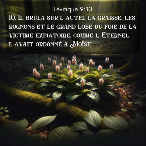 Segond21 Lévitique  ; image nature: image avec le verset biblique :Il brûla sur l&#039;autel la graisse, les rognons et le grand lobe du foie de la victime expiatoire, comme l&#039;Eternel l&#039;avait ordonné à Moïse. ;  ; 9:10