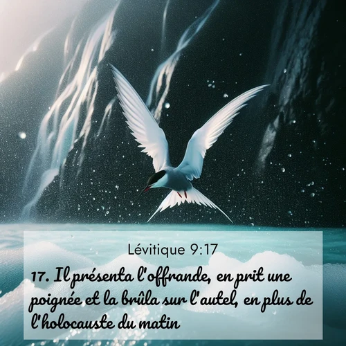 Segond21 Lévitique  ; image nature: image avec le verset biblique :Il présenta l&#039;offrande, en prit une poignée et la brûla sur l&#039;autel, en plus de l&#039;holocauste du matin. ;  ; 9:17