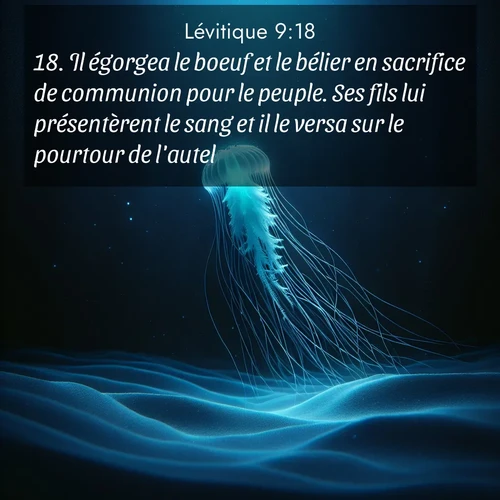 Segond21 Lévitique  ; image nature: image avec le verset biblique :Il égorgea le boeuf et le bélier en sacrifice de communion pour le peuple. Ses fils lui présentèrent le sang et il le versa sur le pourtour de l&#039;autel. ;  ; 9:18