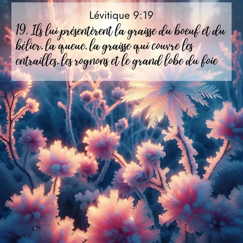 Segond21 Lévitique  ; image nature: image avec le verset biblique :Ils lui présentèrent la graisse du boeuf et du bélier, la queue, la graisse qui couvre les entrailles, les rognons et le grand lobe du foie; ;  ; 9:19