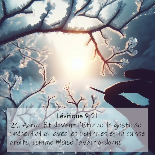 Segond21 Lévitique  ; image nature: image avec le verset biblique :Aaron fit devant l&#039;Eternel le geste de présentation avec les poitrines et la cuisse droite, comme Moïse l&#039;avait ordonné. ;  ; 9:21