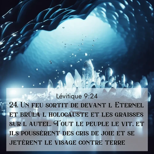 Segond21 Lévitique  ; image nature: image avec le verset biblique :Un feu sortit de devant l&#039;Eternel et brûla l&#039;holocauste et les graisses sur l&#039;autel. Tout le peuple le vit, et ils poussèrent des cris de joie et se jetèrent le visage contre terre. ;  ; 9:24
