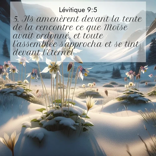 Segond21 Lévitique  ; image nature: image avec le verset biblique :Ils amenèrent devant la tente de la rencontre ce que Moïse avait ordonné, et toute l&#039;assemblée s&#039;approcha et se tint devant l&#039;Eternel. ;  ; 9:5