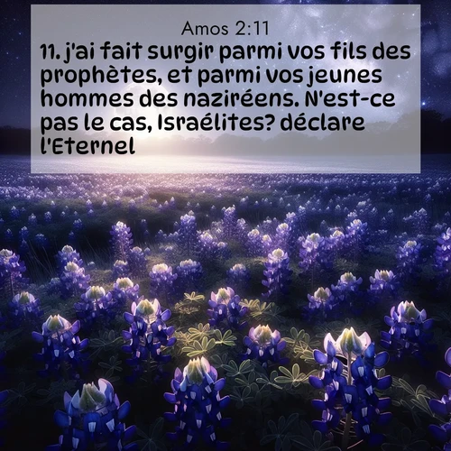 Segond21 Amos  ; image nature: image avec le verset biblique :j&#039;ai fait surgir parmi vos fils des prophètes, et parmi vos jeunes hommes des naziréens. N&#039;est-ce pas le cas, Israélites? déclare l&#039;Eternel. ;  ; 2:11