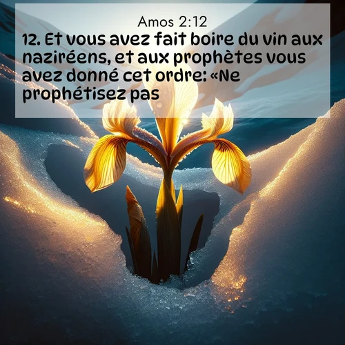 Segond21 Amos  ; image nature: image avec le verset biblique :Et vous avez fait boire du vin aux naziréens, et aux prophètes vous avez donné cet ordre: «Ne prophétisez pas!» ;  ; 2:12