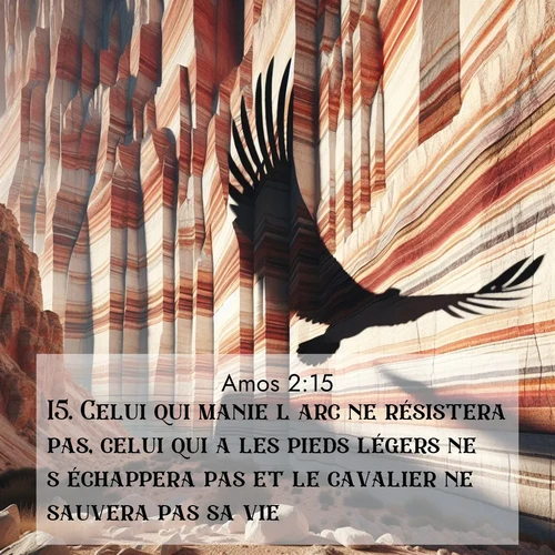 Segond21 Amos  ; image nature: image avec le verset biblique :Celui qui manie l&#039;arc ne résistera pas, celui qui a les pieds légers ne s&#039;échappera pas et le cavalier ne sauvera pas sa vie. ;  ; 2:15