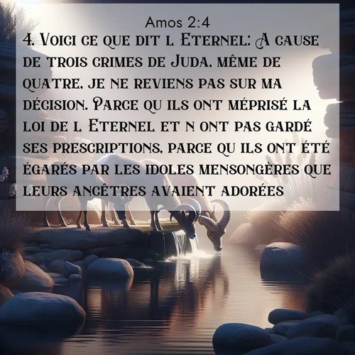 Segond21 Amos  ; image nature: image avec le verset biblique :Voici ce que dit l&#039;Eternel: A cause de trois crimes de Juda, même de quatre, je ne reviens pas sur ma décision. Parce qu&#039;ils ont méprisé la loi de l&#039;Eternel et n&#039;ont pas gardé ses prescriptions, parce qu&#039;ils ont été égarés par les idoles mensongères que leurs ancêtres avaient adorées, ;  ; 2:4