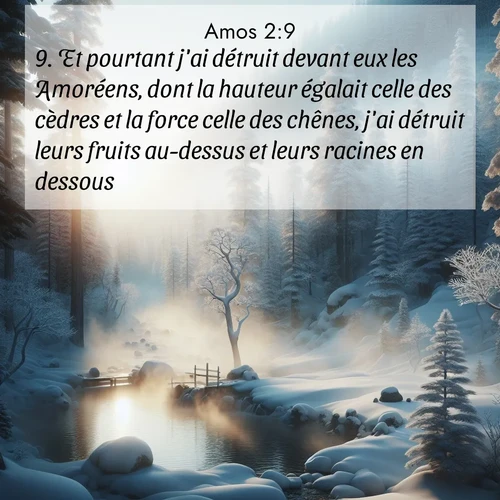 Segond21 Amos  ; image nature: image avec le verset biblique :Et pourtant j&#039;ai détruit devant eux les Amoréens, dont la hauteur égalait celle des cèdres et la force celle des chênes, j&#039;ai détruit leurs fruits au-dessus et leurs racines en dessous. ;  ; 2:9
